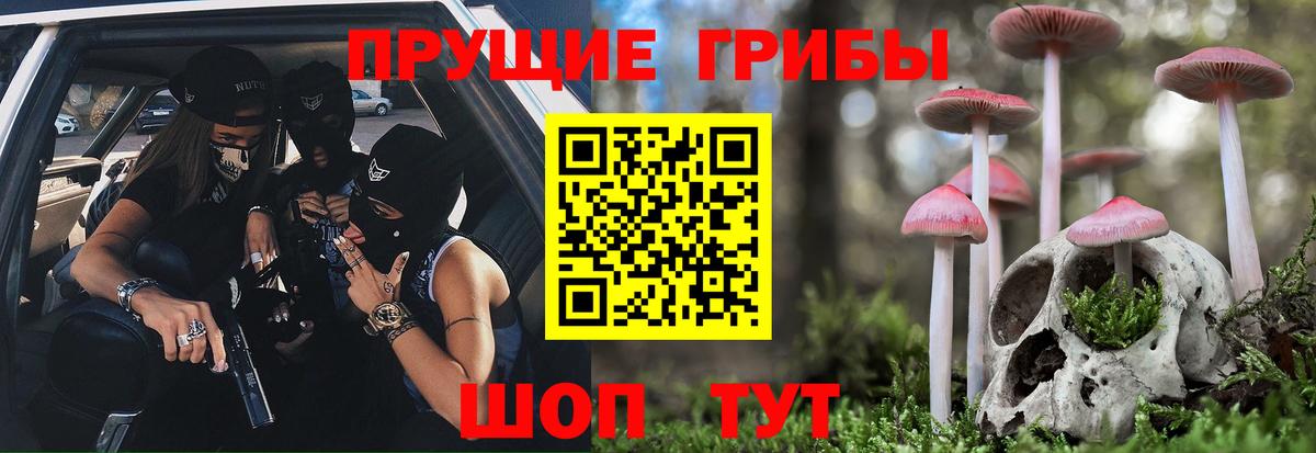 Галлюциногенные грибы Magic Shrooms Ступино