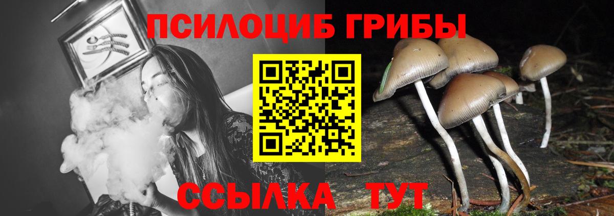 цены наркотик  Псилоцибиновые грибы прущие грибы  Вход с VPN  Ступино 